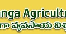 ANGRAU Seed Certification Officer Job Openings 2017 (36 Posts)