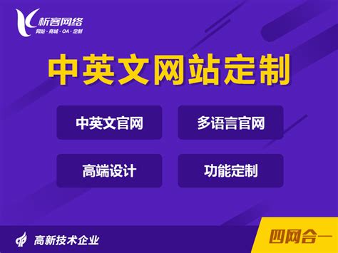 世纪前线十合一建站_企业网站双站_中文网站_国际网站_双站商城建设