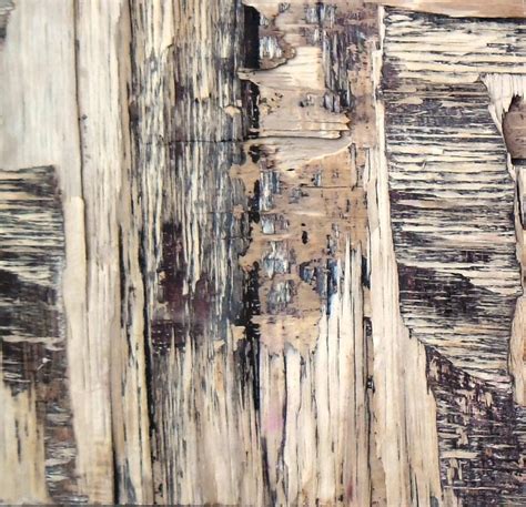 "Wood Texture Iv": Light Brown Mixed Media Painting by Somen Debnath ...