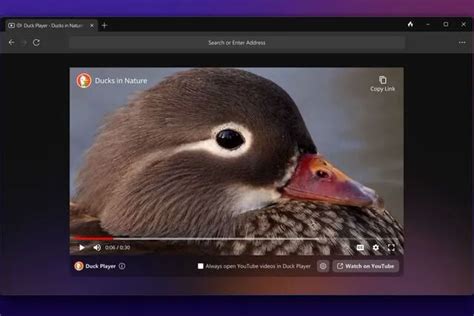 DuckDuckGo Search Engine Download 的图像结果