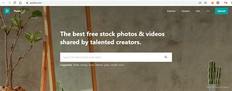 Top 10 Websites For Free Stock Photos - The Blond Post
