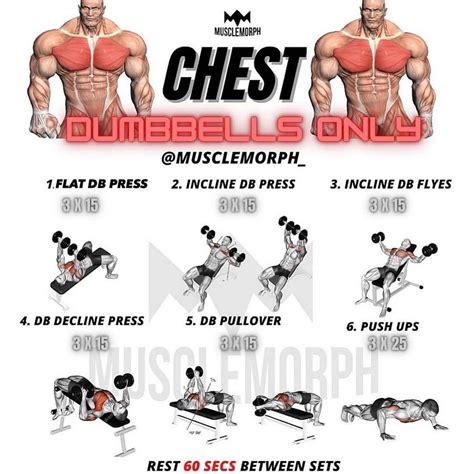 🇺🇲tips.4health’s Instagram photo: “🔥CHEST WORKOUT DUMBBELLS ONLY🔥by ...