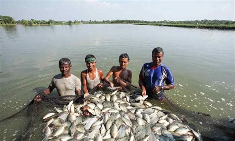 BlueWave Aqua (India) Pvt. Ltd. - Leading Aquaculture Solutions Since 1993