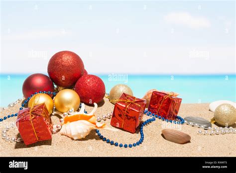 Holiday 的图像结果