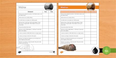 Walrus True or False Activity