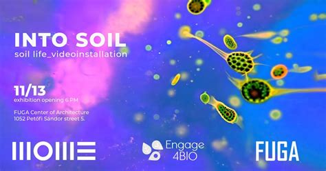 INTO SOIL Pop-up Exhibition - MOME x Engage4BIO, Fuga - Budapesti ...