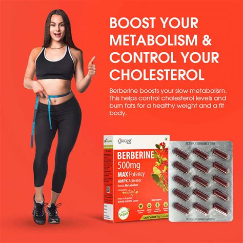 Buy ORIGINS NUTRA BERBERINE NATURAL METABOLISM BOOSTER (30 CAPSULES ...