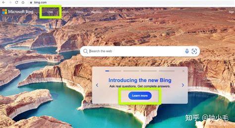 微软 的 必 应 聊天 功能 的图像结果