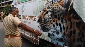 Leopard Task Force captures two leopards after fatal attack near Bengaluru