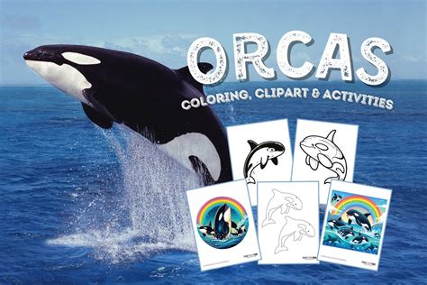 Orca coloring pages: Killer whale clip art & 10 fun crafts & learning ...