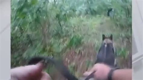 Kenosha County OWI crash arrest, K-9 search: video | FOX6 Milwaukee