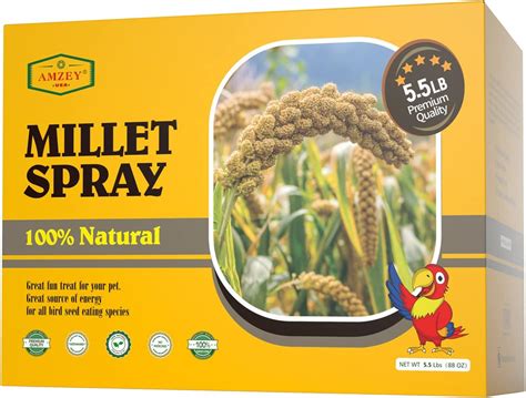 5.5 LB Spray Millet for Parakeets, 100% Natural India | Ubuy