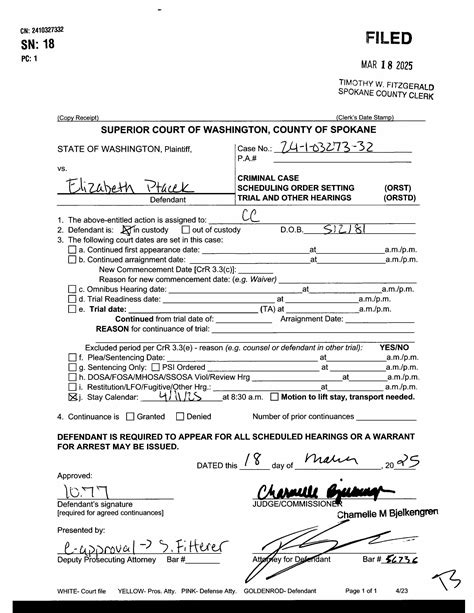 Spokane County Court Viewer