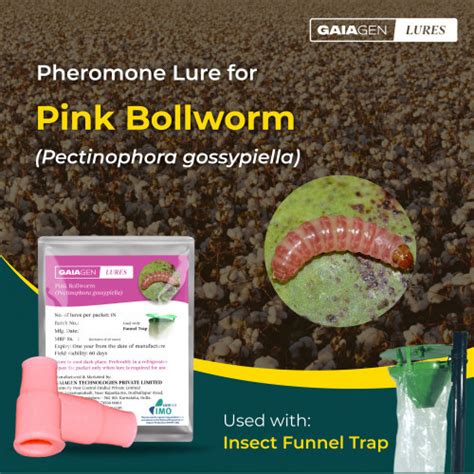 Gaiagen Combo Pack Pheromone Lure for Pink Bollworm and Insect Funnel Trap