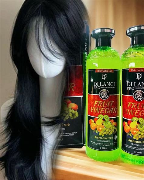 Di'lanci Fruit Vinegar Hair Color Gel | Black | Natural Shine & Long ...