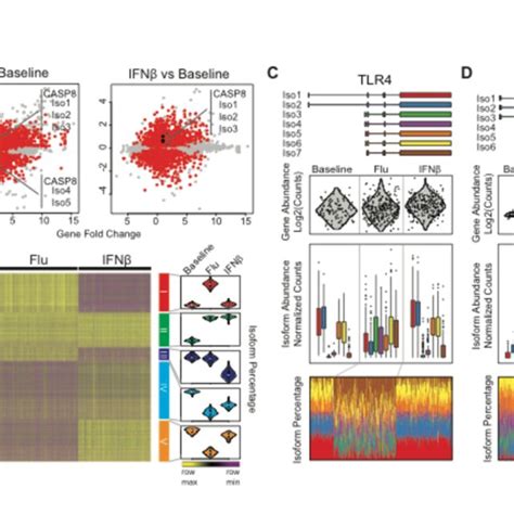 Transcriptome Plot 的图像结果