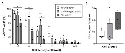 Maintenance of Chronological Aging Features in Culture of Normal Human ...