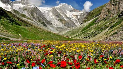 Valley of Flowers road trip