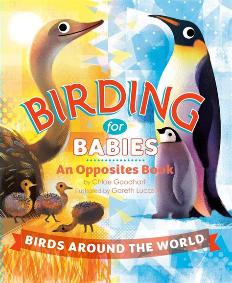 Birding for Babies: Birds Around the World: An Opposites Book ...