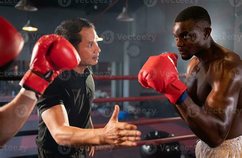 Boxing Match Referee 的图像结果