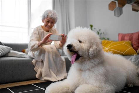 Vista frontal mujer sonriente con perro en casa | Foto Premium