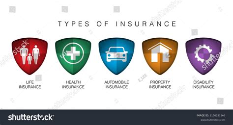 Different Types of Insurance 的图像结果