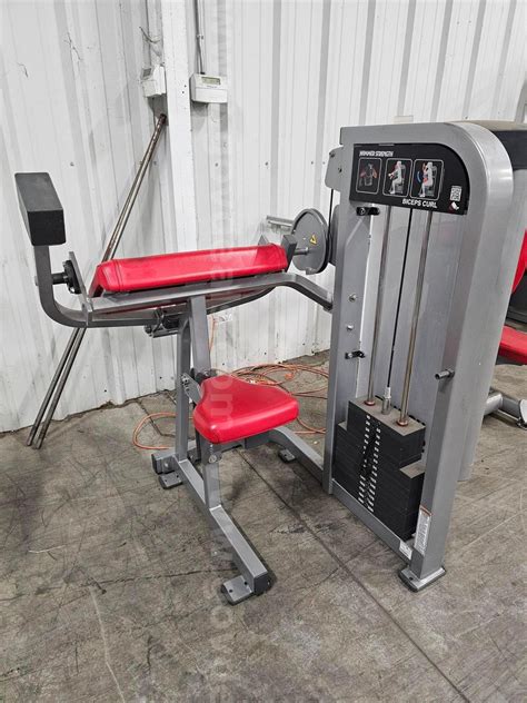 HAMMER STRENGTH BICEPS CURL MACHINE | AllSurplus