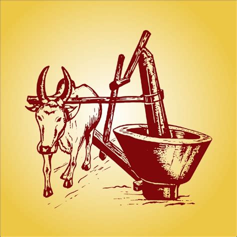 IMMU COLD PRESSED GROUNDNUT OIL | Powered by Shoopy