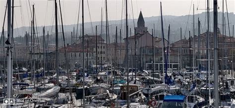 Delfino Verde Navigazione (Trieste) - 2022 What to Know Before You Go ...