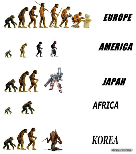 Funny Human Evolution Chart 的图像结果
