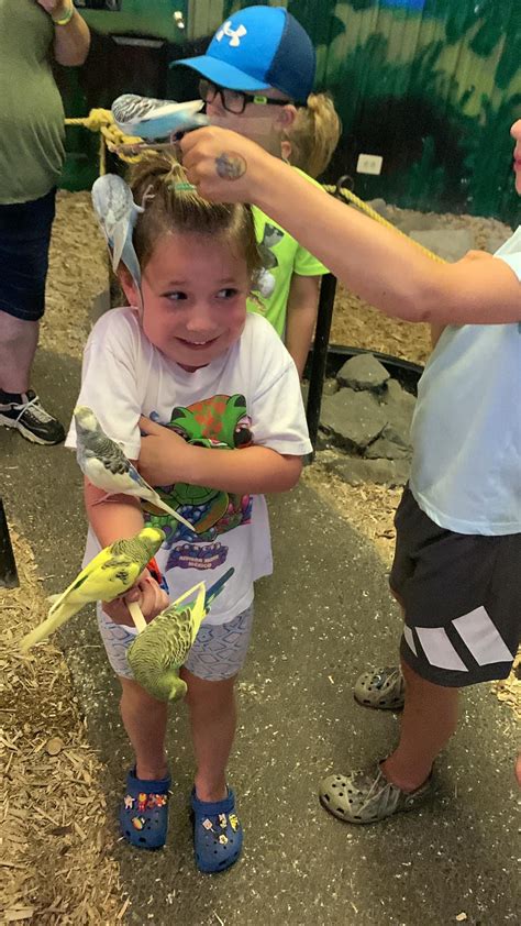 Photos - Adirondack Animal Land