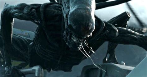 Image result for Alien Prequel