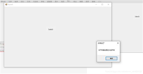 Label the Image Image Net 的图像结果