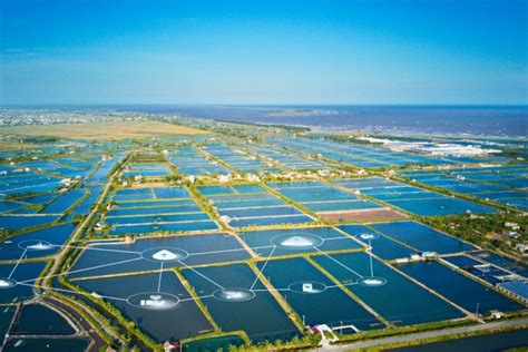 unlocking the possibilities in the next blue revolution with ...