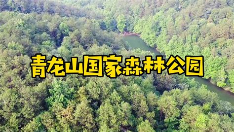 武汉市江夏区青龙山国家森林公园，山上有个免费的天然游泳基地_哔哩哔哩_bilibili