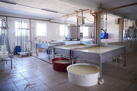 Image result for Ancient Cheese Factory