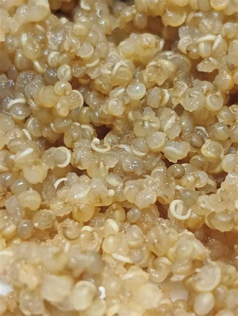 Quinoa in Hindi - Complete Guide by a Professional Chef - hassanchef ...