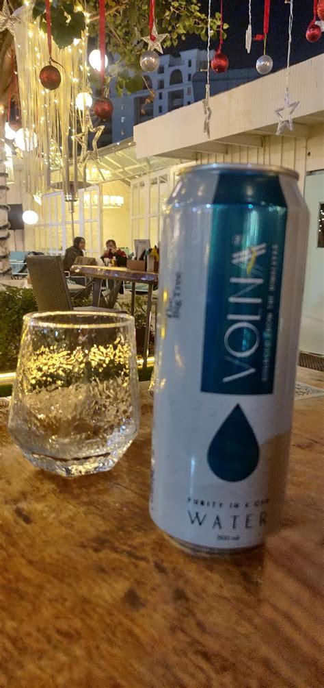 The Big Tree Cafe Golf Course Road Big Tree Cafe, Gurugram - Restaurant ...