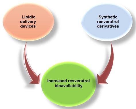 Progress to Improve Oral Bioavailability and Beneficial Effects of ...