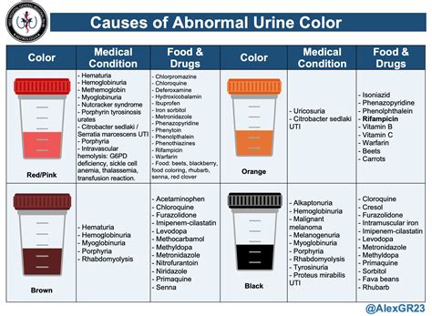 Hemoglobinuria Vs Myoglobinuria