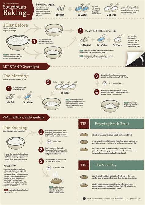 Illustrated guide to sourdough – Artofit