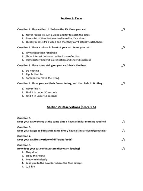 Image result for Cat Intelligence Test