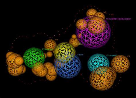 Novel Natural Inhibitors of CYP1A2 Identified by in Silico and in Vitro ...