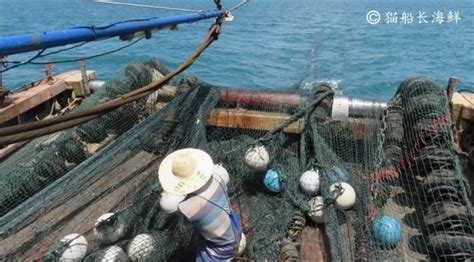 远洋捕捞_广东顺欣海洋渔业集团有限公司