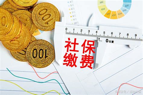 企业缴纳15年社保和自己缴纳15年社保，哪个养老金高？|社保|养老金|缴费_新浪新闻