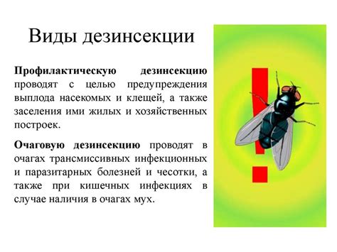 Дезинфекция. Дезинсекция. Дератизация - презентация онлайн
