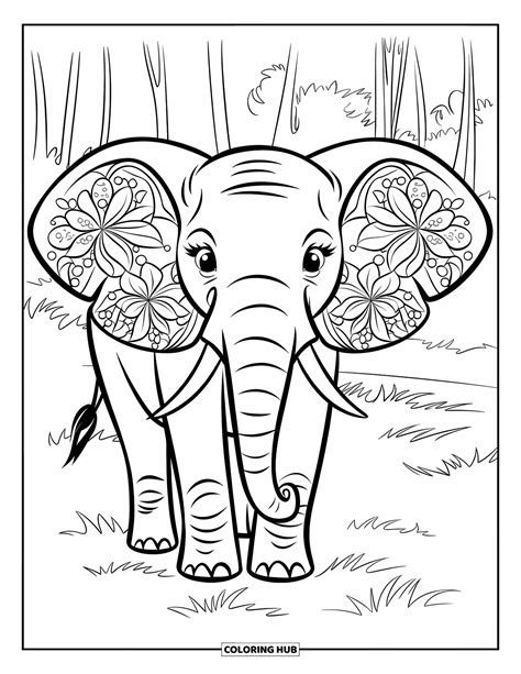 95+ Elephant Coloring Pages for Kids & Adults (Free Printable PDFs)