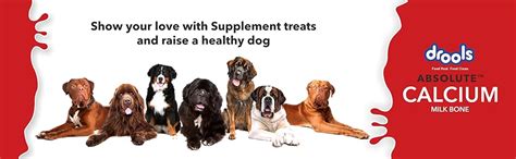 Buy Drools Absolute Calcium Milk Bone, Dog Supplement for Large Breed ...