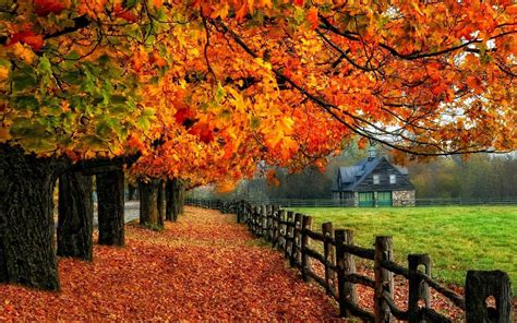 Autumn Wallpapers - Wallpaper Cave