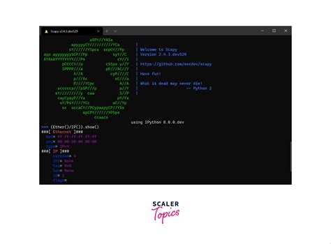 Image result for Python Networknectar